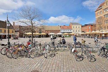 Excursão de um dia de Copenhague a Malmö
